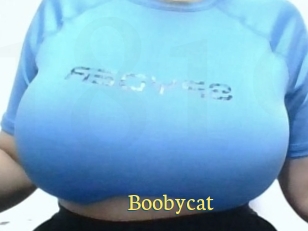 Boobycat