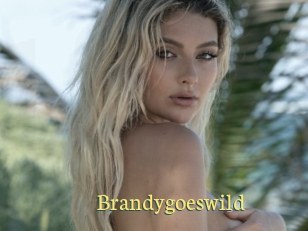 Brandygoeswild