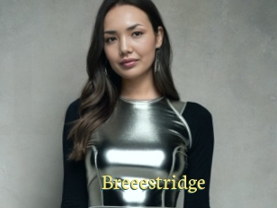 Breeestridge