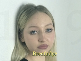 Breefudge