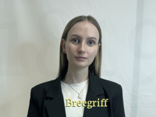 Breegriff