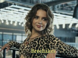 Breehakes