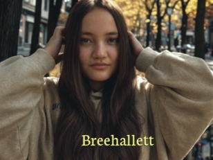 Breehallett