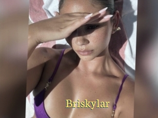 Briskylar