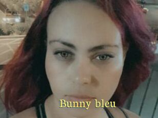 Bunny_bleu