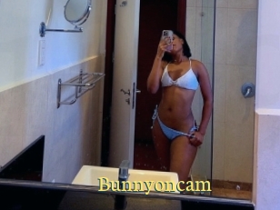 Bunnyoncam