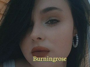 Burningrose