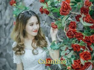 Calanthas