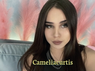 Cameliacurtis
