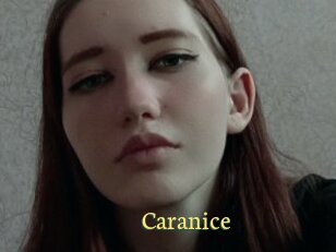 Caranice