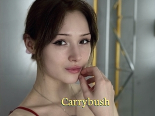 Carrybush