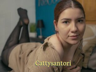 Cattysantori