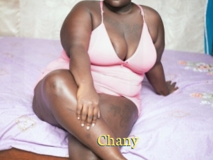 Chany