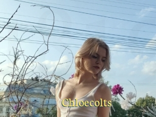 Chloecolts