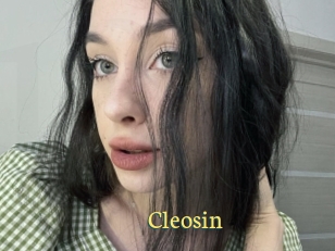Cleosin