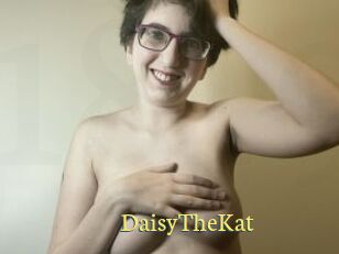 DaisyTheKat