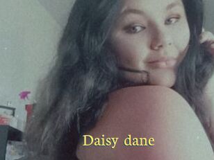 Daisy_dane