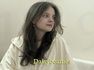 Daisybeames