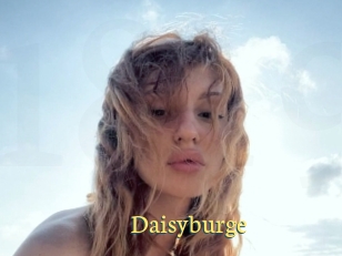 Daisyburge