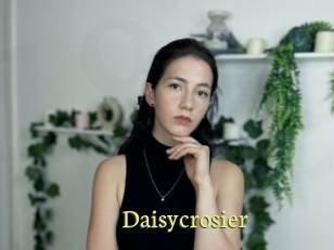 Daisycrosier