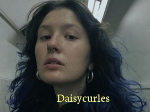 Daisycurles