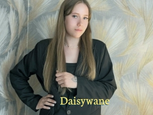 Daisywane