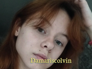 Damariscolvin