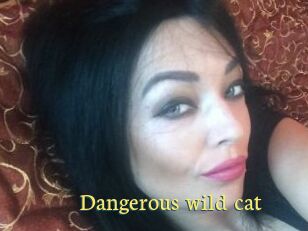 Dangerous_wild_cat