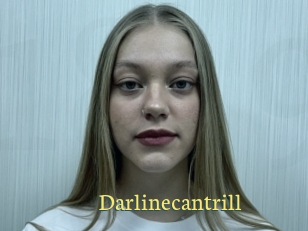 Darlinecantrill