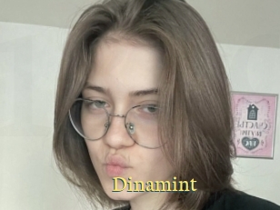 Dinamint