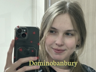 Dominobanbury