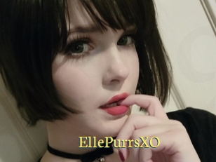 EllePurrsXO
