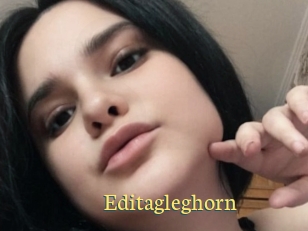 Editagleghorn