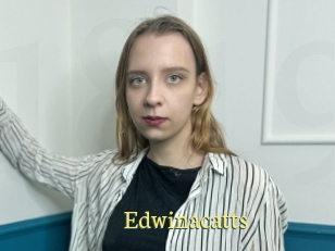 Edwinacatts
