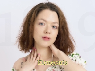 Elenecaris