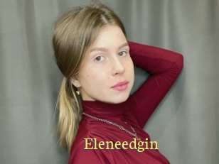 Eleneedgin