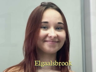 Elgaalsbrook