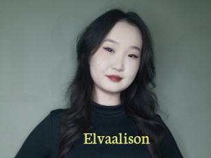 Elvaalison