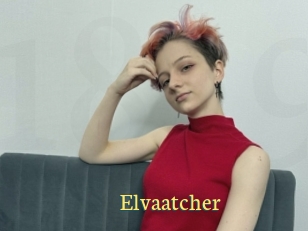 Elvaatcher