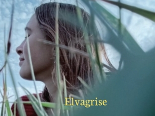 Elvagrise