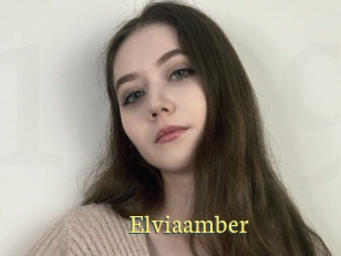 Elviaamber