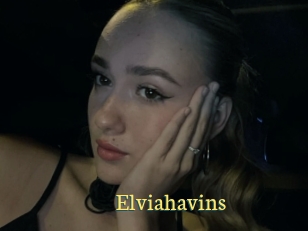 Elviahavins