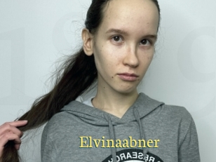 Elvinaabner