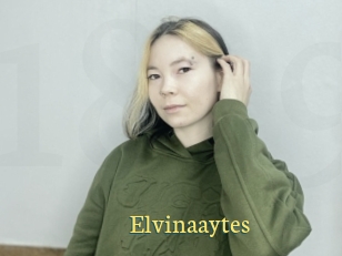 Elvinaaytes