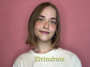 Elvinabute