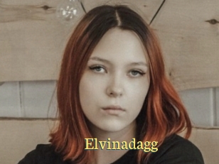 Elvinadagg