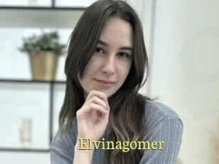 Elvinagomer