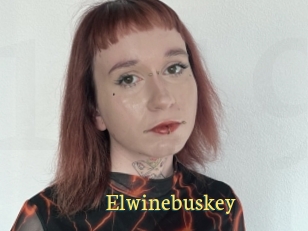 Elwinebuskey