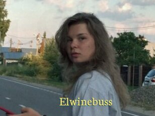 Elwinebuss