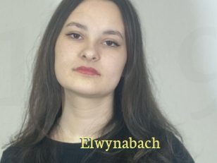 Elwynabach